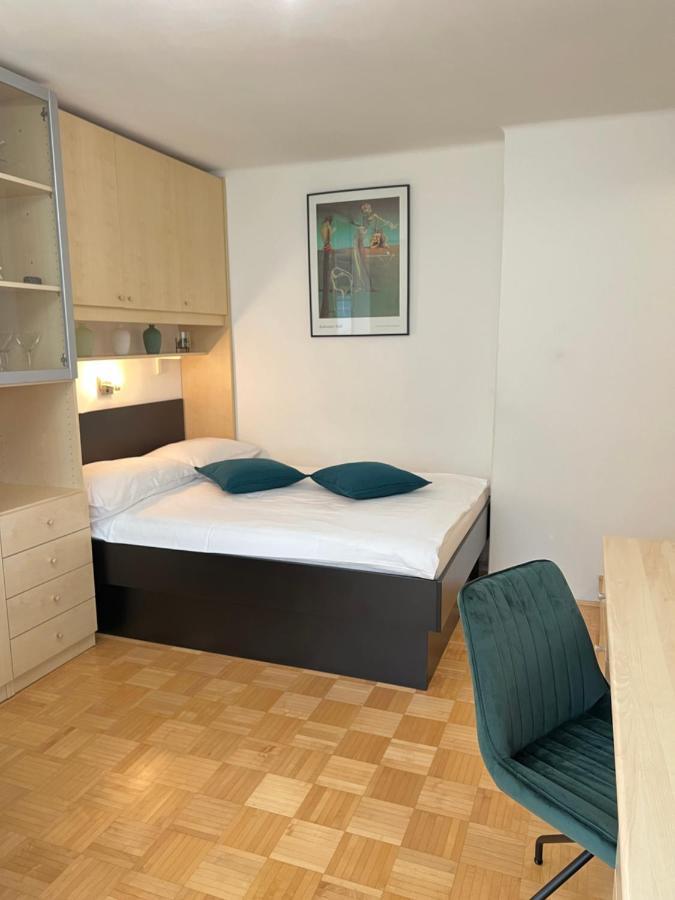 Luxury Studio Apartments Lubiana Esterno foto